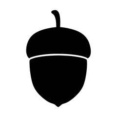 Acorn vector illustration, autumn fall season nut, oak tree seed, nature forest element, simple design