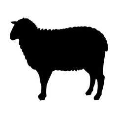 Isolated black sheep silhouette vector illustration for farm animals and livestock design needs