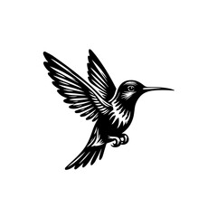 Obraz premium Hummingbird in flight, isolated on white background