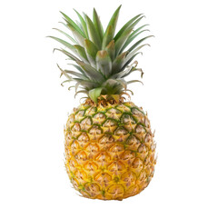 Single pineapple, bright yellow, green top