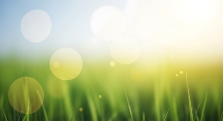 Obraz premium Photo of fresh green grass with bokeh effect in a sunny day of spring season