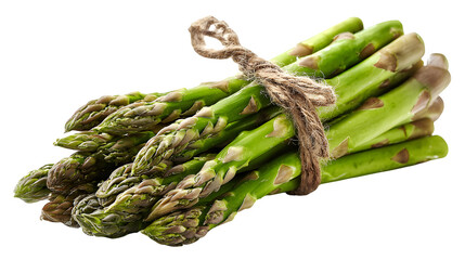 Bunch of green asparagus with tied stems, isolated on white