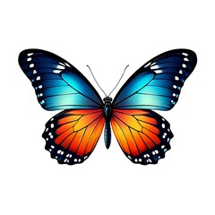 Obraz premium Beautiful Butterfly Wings with Vibrant Blue and Orange Colors Detailed and Intricate Designs