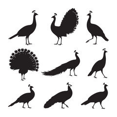  Elegant Peacock Silhouettes in Varied Poses Displayed vector Design. 