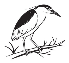 Black Crowned night Heron silhouette vector style with white background .