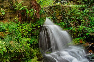 waterfall in the woods