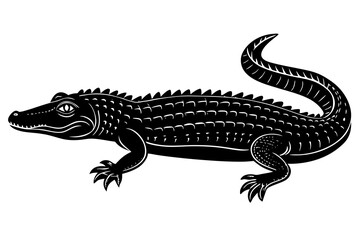 Fototapeta premium Alligator illustration isolated on white background, a reptile predator animal