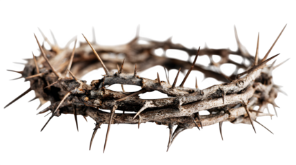Crown of thorns on white background, religious concept