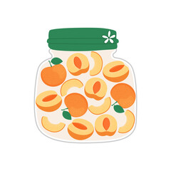 Apricots in Jar Cute Summer Fruit Illustration