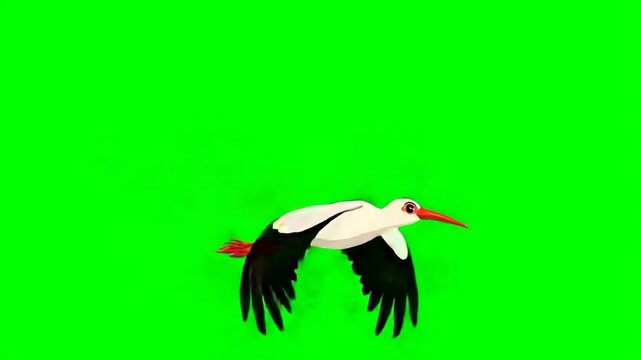 Flying stork, isolated on green screen, chroma key, footage, mockup, cartoon style, loop