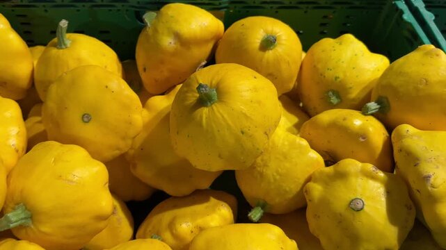 Vibrant Yellow Pattypan Squash Overflowing a Green Crate, Freshly Harvested and Ready for Market, Displaying a Variety of Shapes and Sizes.