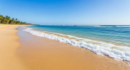 Obraz premium Serene Tropical Beach with Palm Trees and Gentle Waves Under a Clear Blue Sky