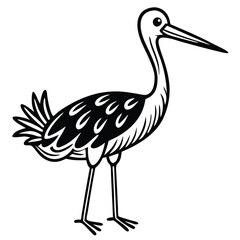 Obraz premium Wading bird with long beak isolated on white background