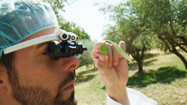 Agronomy scientist looking at an olive with special glasses