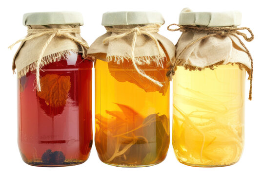 PNG Kombucha food jar