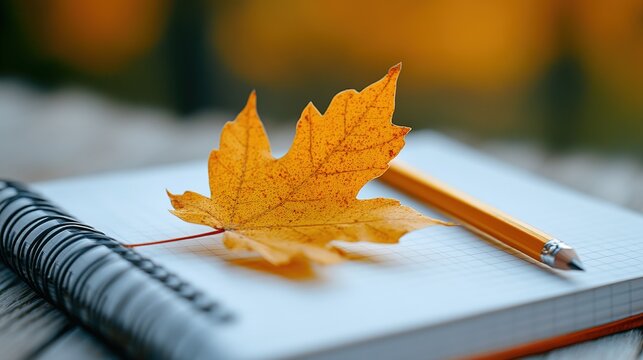 Autumn Inspiration: Vibrant Yellow Maple Leaf on Blank Spiral Notebook with Sharpened Pencil on Warm Wooden Surface, Minimalist Design for Education, Creative Writing, Seasonal Decor, or Digital Backg