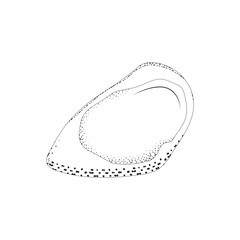 Illustration of Oyster Shell in Vector