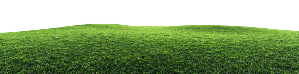 Expansive grassy field with subtle incline