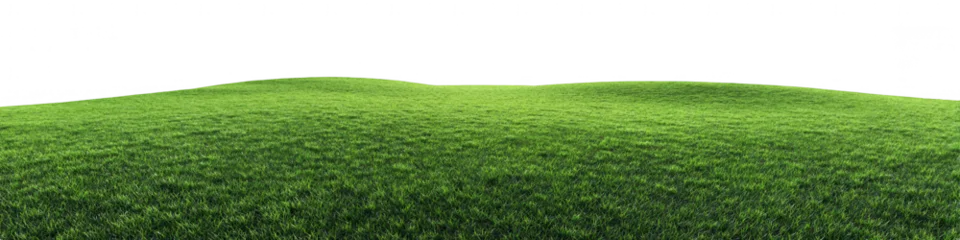 Fototapete Wartezimmer Expansive grassy field with subtle incline  © Ummu