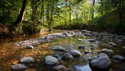 a small stream in the middle of a forest filled with rocks and pebbles