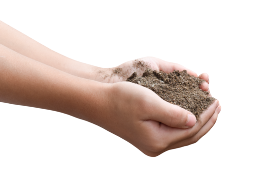 Hands holding pile of soil isolated on transparent background, PNG Format