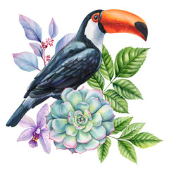 Tropical summer arrangement Toucan succulent orchid and tropical leaves in watercolor botanical composition on white background