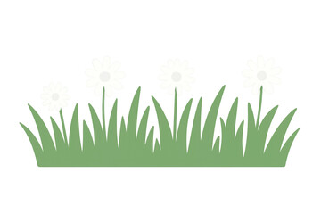 Fototapeta premium White daisies blooming amid lush green grass, transparent background highlighting delicate petals