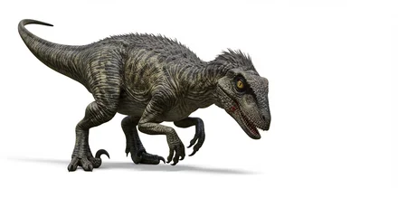 Acrylglasbilder Dinosaurier Snel bewegende kleine dinosaurus scherp gedetailleerd lichtgrijs. AI Generated  © Lucas