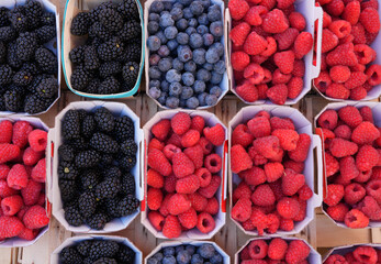 Array of containers of fresh berries at the farmers market