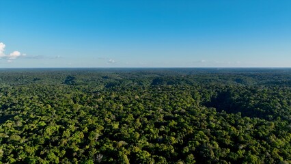 Amazon River In Manaus Amazonas Brazil. Amazon Rainforest Showing River Winding Dense Jungle. Travel Environmental Wilderness Jungle. Travel Rainy Season. Manaus Amazonas.