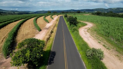 Country Road In Country Scene Rural Landscape Brazil. Breathtaking Landscape Of Forest Trees In The Rural Scene. Rural Road Outdoor Farming Peaceful. Rural Road Forest. Country Scene Rural Landscape.