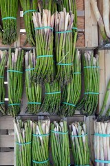 Bunches of white asparagus with purple tips and green asparagus at a French farmers market