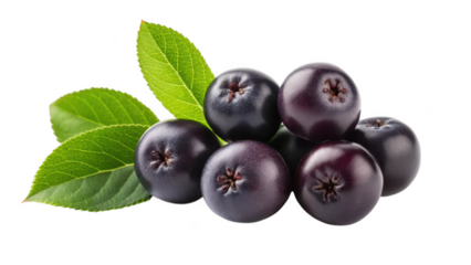 Aronia berries with green leaves isolated on transparent background