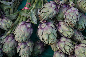 Fototapeta premium Fresh green and purple artichokes at a farmers market in Provence, France