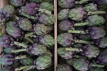 Fresh green and purple artichokes at a farmers market in Provence, France