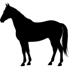 Side Profile Silhouette of Horse