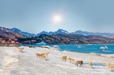 Fototapety na wymiar - Fototapeta24.pl