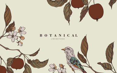 Applr fruits in bloom with bird. Engraved background. Wedding background card floral decorative border. Thank you, rsvp, invitation elegant card illustration graphic set banner.