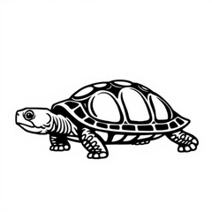 Black Box Turtle Animal Icon