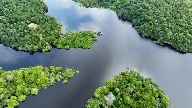 Amazonian Rainforest In Manaus Amazonas Brazil. River Flowing Through Lush Green Forest Landscape. Peru River Forest Brazil Bay. Peru Landmark Travel. Manaus Amazonas. - Powered by Adobe