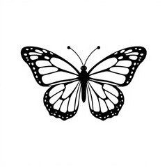 Black Butterfly Animal Icon