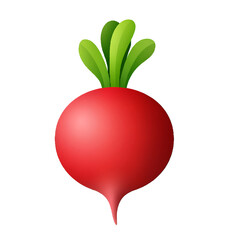 Bright red radish with vibrant green leaves on a white background