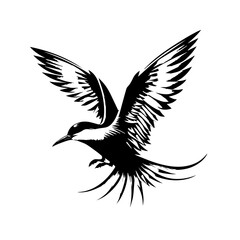 Obraz premium Arctic tern in flight isolated on white background with spread wings