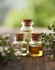 Three bottles of aromatherapy essential oil with blooming thyme twigs