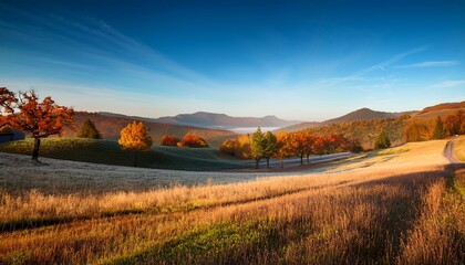 Fototapeta premium clear fall morning