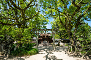 Obraz premium 吉香神社 鳥居と神門 山口県岩国市