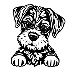 Boxerdoodle Animal Icon