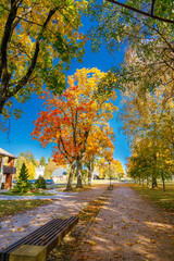 Picturesque autumn pathway lined with vibrant trees in shades of orange and yellow, with a park...