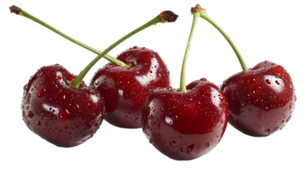 Four ripe, glossy red cherries with fresh green stems are scattered across a stark white surface, highlighting their smooth texture and vibrant color.
