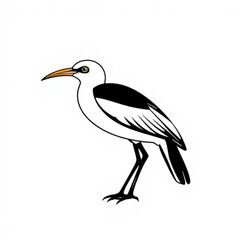 Bronzewinged_Jacana_Animal